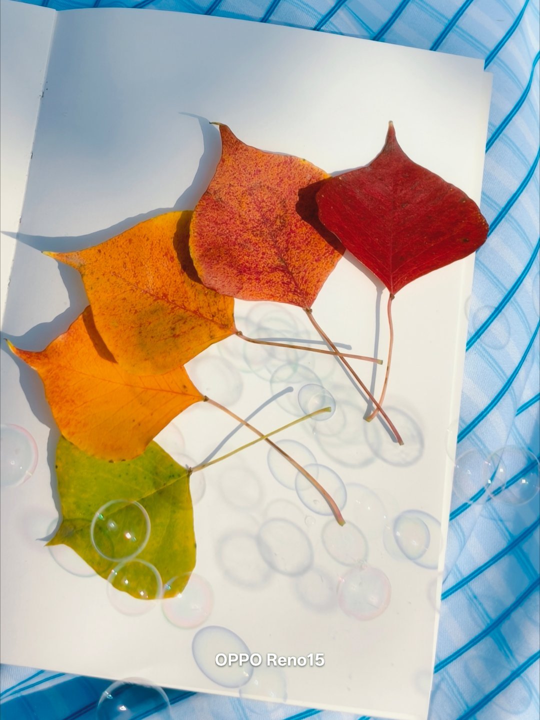 Oppo Reno15 Đẹp Cỡ Này Đây! 007Mqxgnly1I7G973R3F6J30U0140Q7T 17634489784181136487887