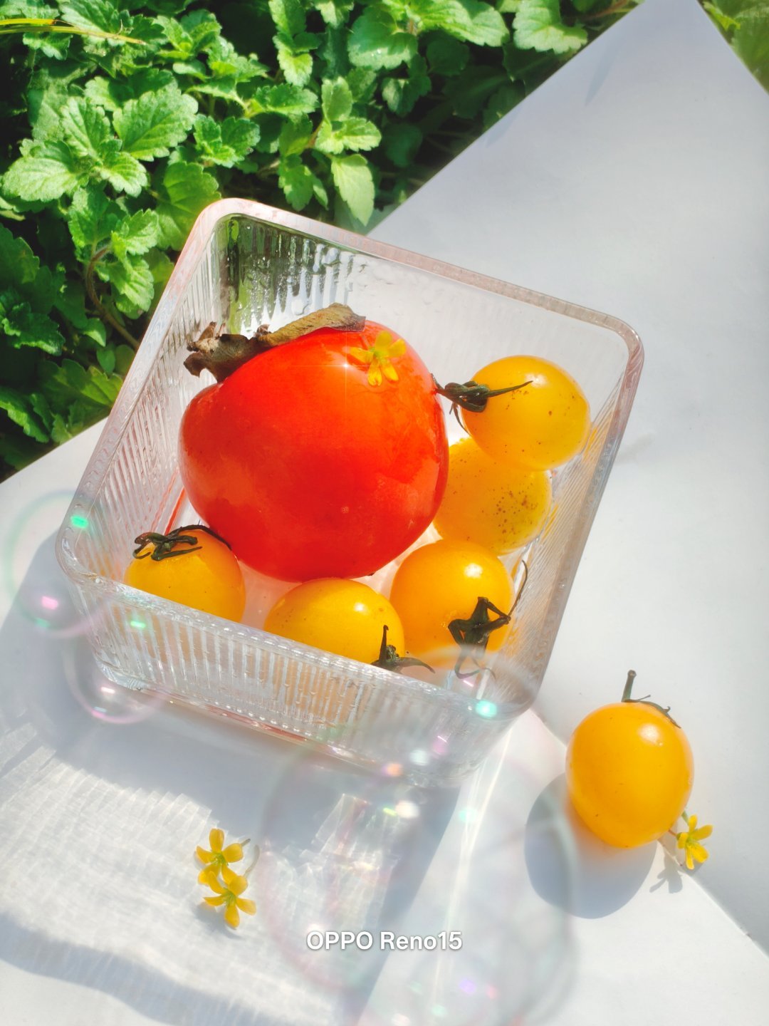 Oppo Reno15 Đẹp Cỡ Này Đây! 007Mqxgnly1I7G97A552Kj30U0140Jwf 17634489783891766425115