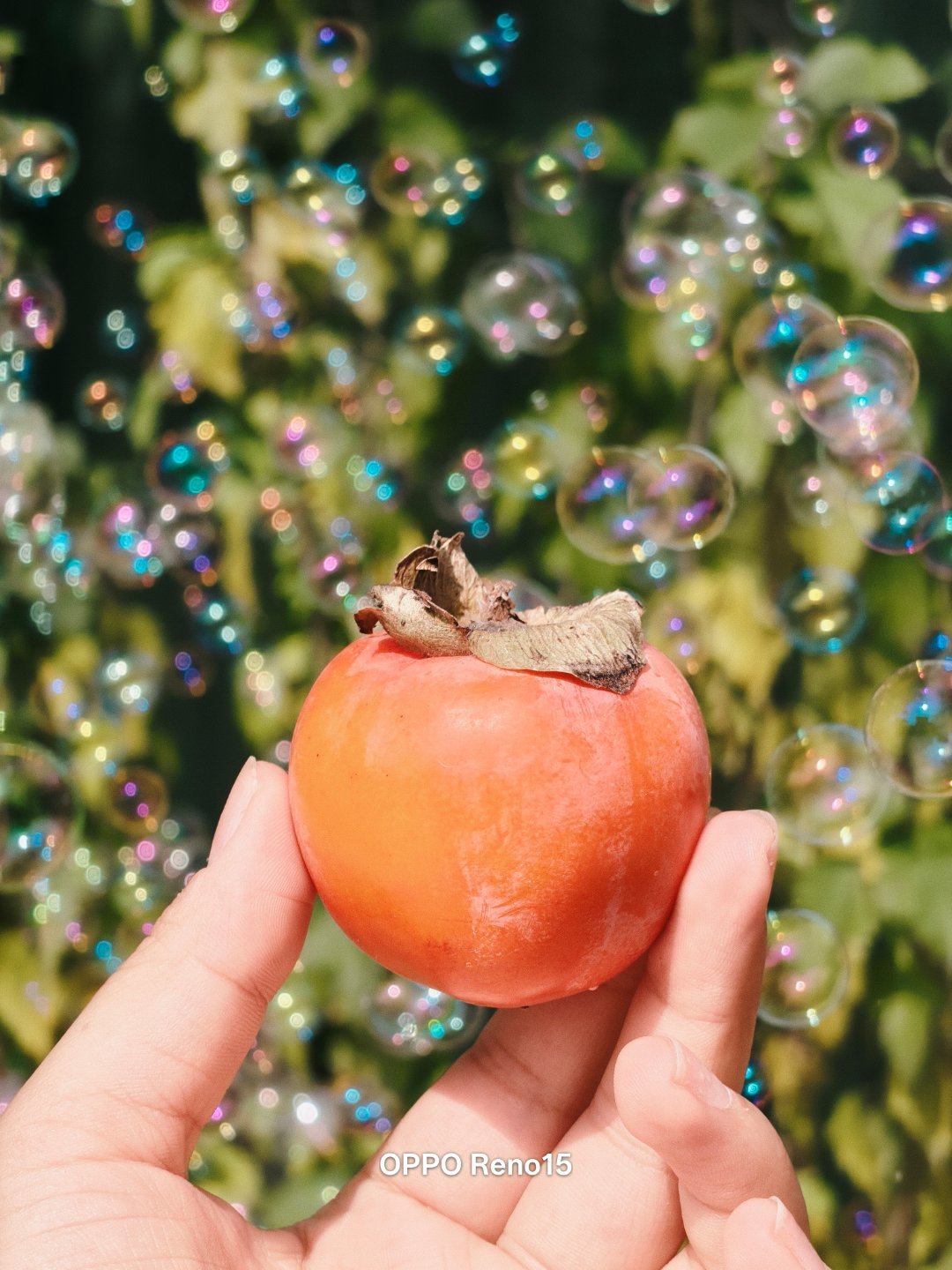 Oppo Reno15 Đẹp Cỡ Này Đây! 007Mqxgnly1I7G97O3Dsoj30U0140Dm1 17634489784001587130287