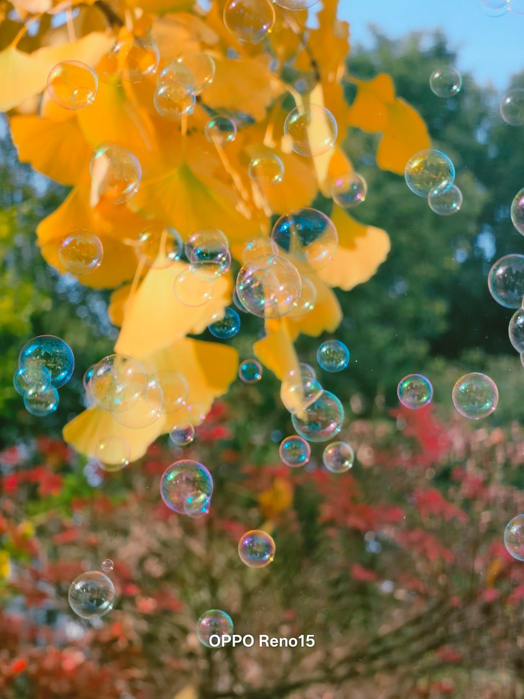 Oppo Reno15 Đẹp Cỡ Này Đây! 007Mqxgnly1I7G97Vza0Rj30U0140Gqm 17634489784032138478579