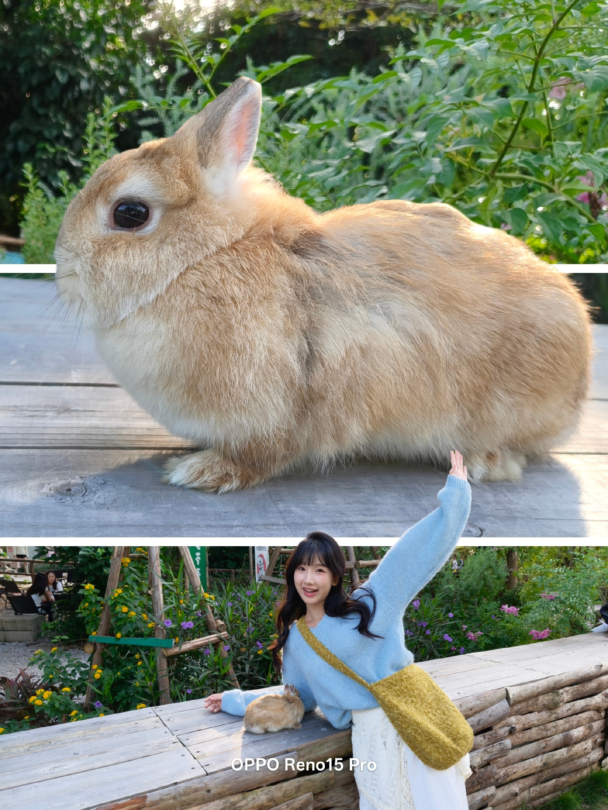 Oppo Reno15 Đẹp Cỡ Này Đây! 8Ce54632Gy1I7G98Ox77Aj21Og28Kx6P 17634489784431741846300