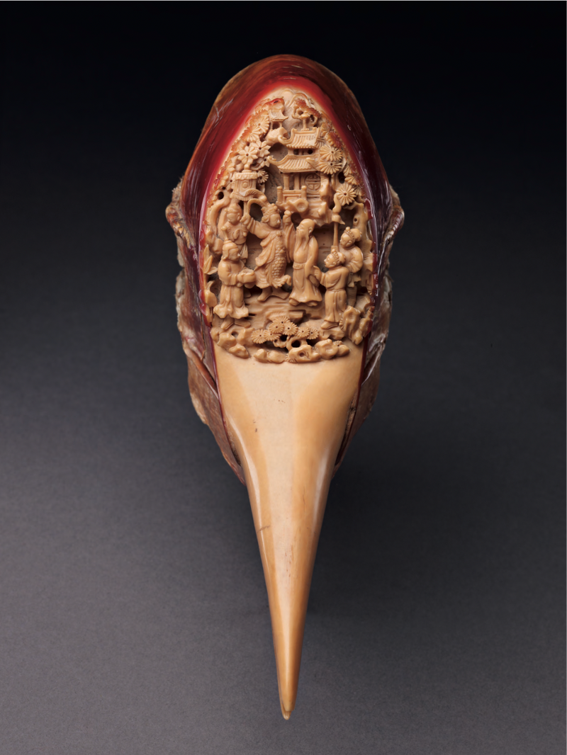 Những chiếc hộp sọ đỏ đắt gấp ba lần ngà voi và bi kịch phía sau loài chim bị săn đến tuyệt diệt- Ảnh 2.