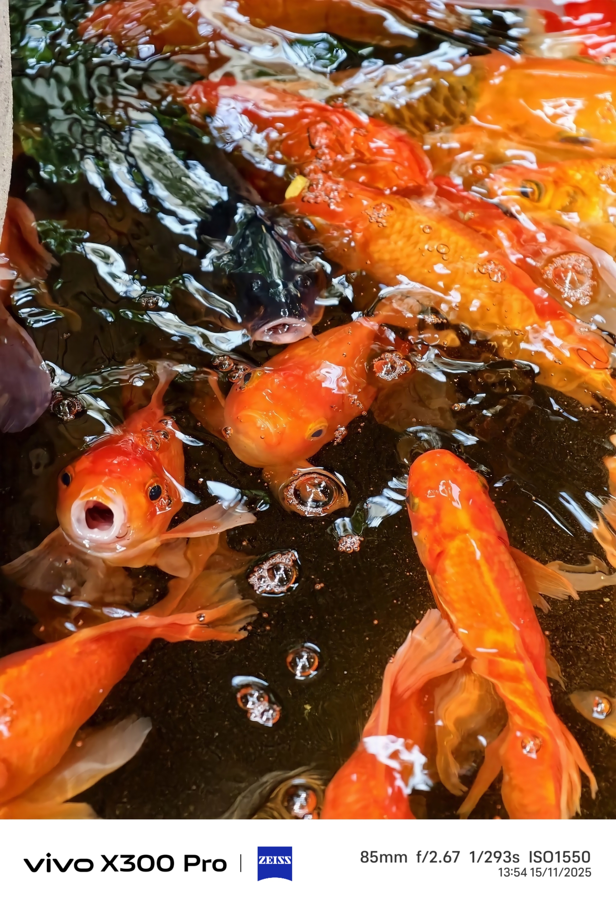 Trải nghiệm OriginOS 6 trên vivo X300 Pro: Có thực sự mượt, ngon như “nguyên bản”?- Ảnh 26.