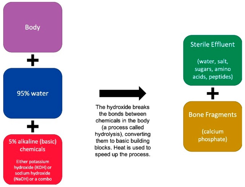Liệu hỏa táng bằng nước có trở thành cách an táng mới của người Mỹ? - Ảnh 2.