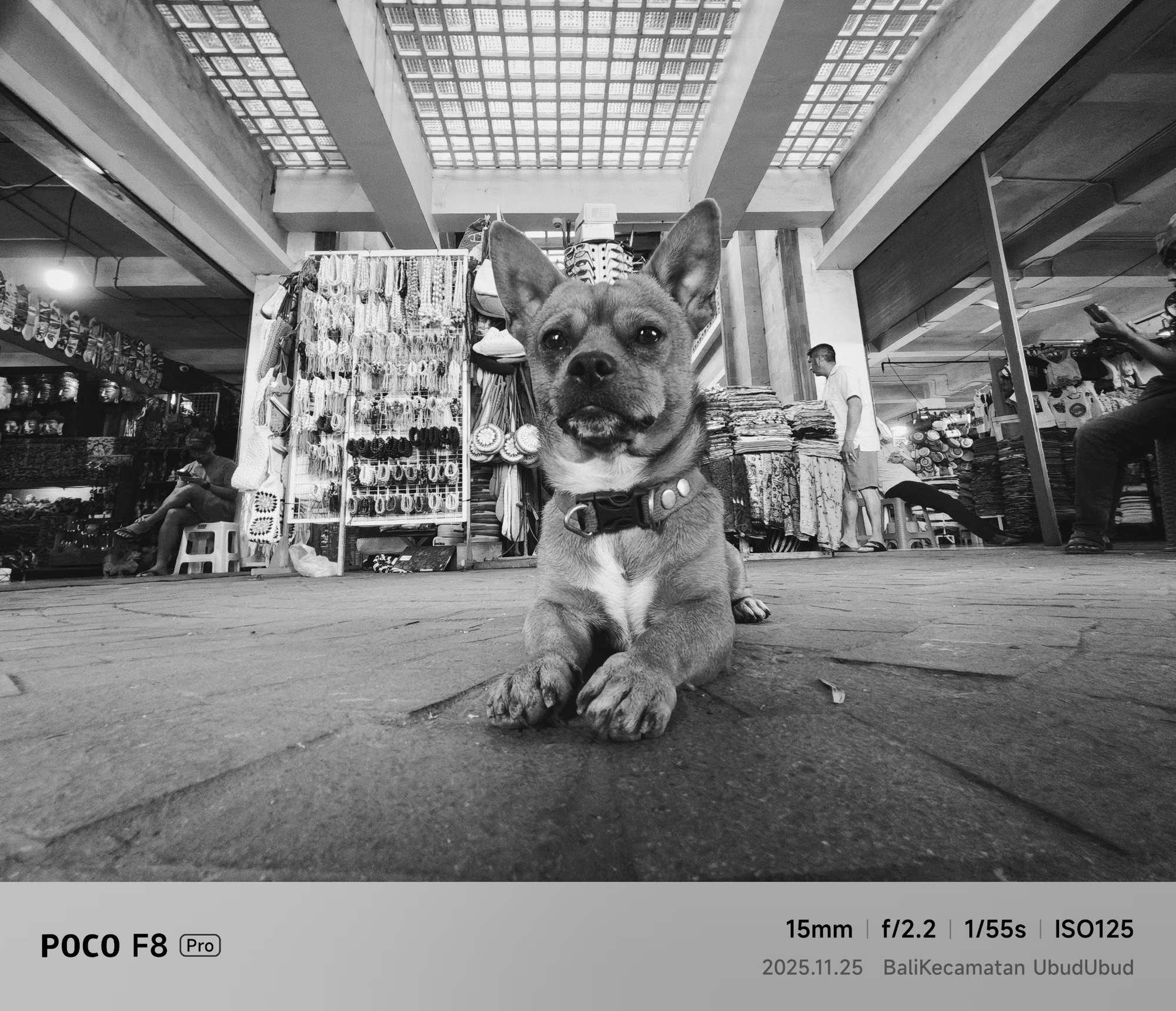 Đây rồi POCO F8 Pro: Tưởng điện thoại chỉ chuyên game nhưng hóa ra chụp ảnh cũng đẹp phết, màn hình ngon, loa Bose chất mà giá chỉ tầm trung!- Ảnh 14.