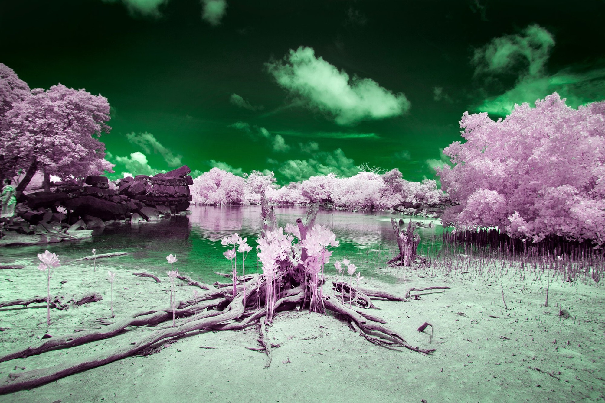 Bí ẩn 'hòn đảo mù màu' giữa Thái Bình Dương: Nơi cư dân chỉ nhìn thấy thế giới trong hai màu đen trắng- Ảnh 2. Bí ẩn 'hòn đảo mù màu' giữa Thái Bình Dương: Nơi cư dân chỉ nhìn thấy thế giới trong hai màu đen trắng- Ảnh 2.