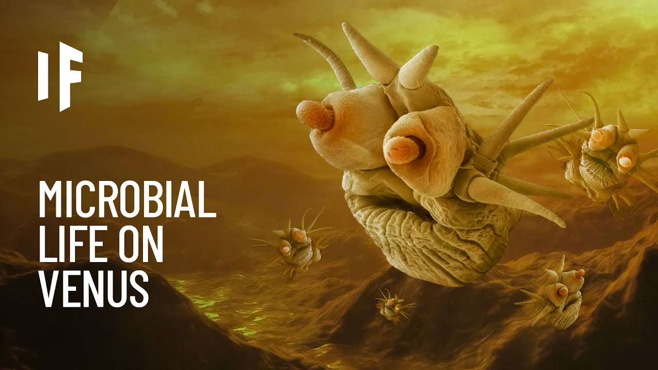 Nếu có sự sống trên Sao Kim: Những sinh vật tồn tại trong 'địa ngục mây axit' sẽ ra sao?- Ảnh 2.