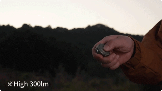 Rodman ED08: Rodman ED08: