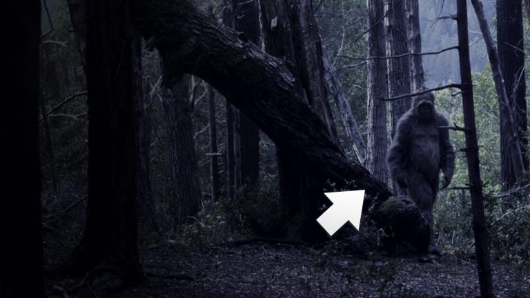 Điều gì sẽ xảy ra nếu Bigfoot thực sự tồn tại?- Ảnh 1.