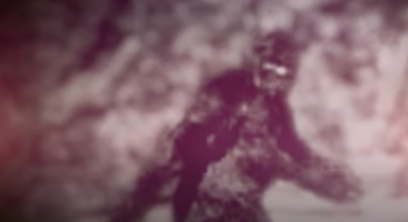 Điều gì sẽ xảy ra nếu Bigfoot thực sự tồn tại?- Ảnh 3. Điều gì sẽ xảy ra nếu Bigfoot thực sự tồn tại?- Ảnh 3.