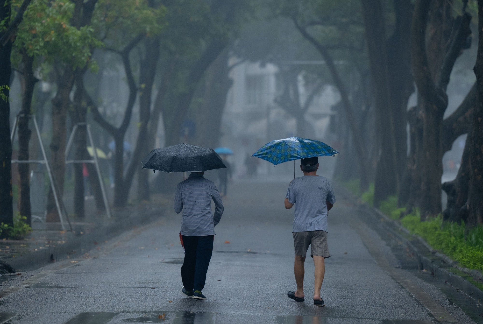 Sáng thứ Bảy, Hà Nội khác lạ khi hứng trọn combo sương mù, ô nhiễm, mưa lạnh- Ảnh 2. Sáng thứ Bảy, Hà Nội khác lạ khi hứng trọn combo sương mù, ô nhiễm, mưa lạnh- Ảnh 2.