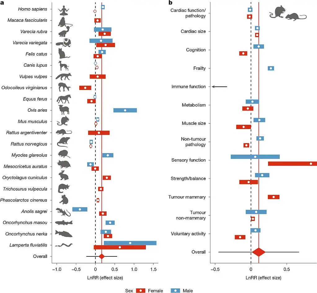 Các nhà khoa học phát hiện ra rằng động vật bị thiến có thể sống lâu hơn tới 20% và điều tương tự cũng có thể đúng với con người - Ảnh 2.