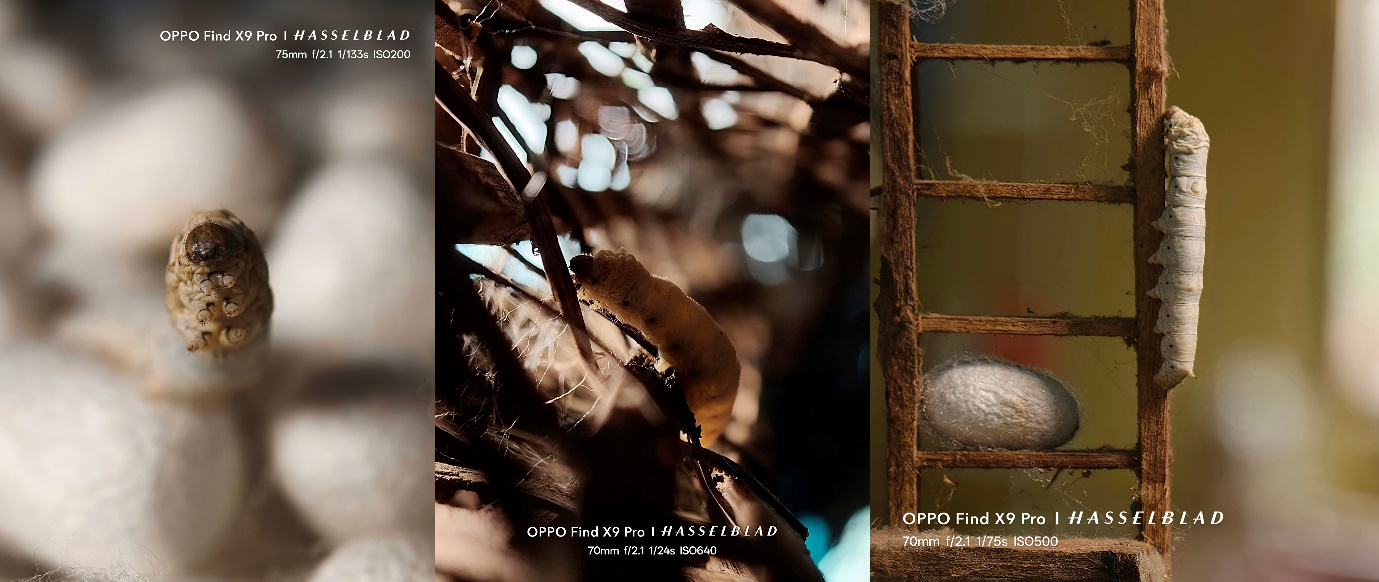 Từ camera 200MP Hasselblad đến Tele-Macro - Mọi chi tiết đều th&agrave;nh t&acirc;m điểm với Find X9 Pro - Ảnh 4.