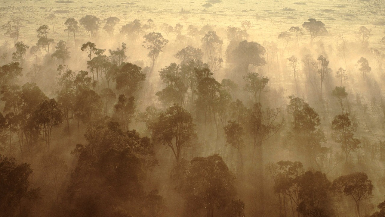 Rừng châu Phi chính thức đảo ngược: Từ lá phổi xanh thành nguồn phát thải carbon - Ảnh 3.