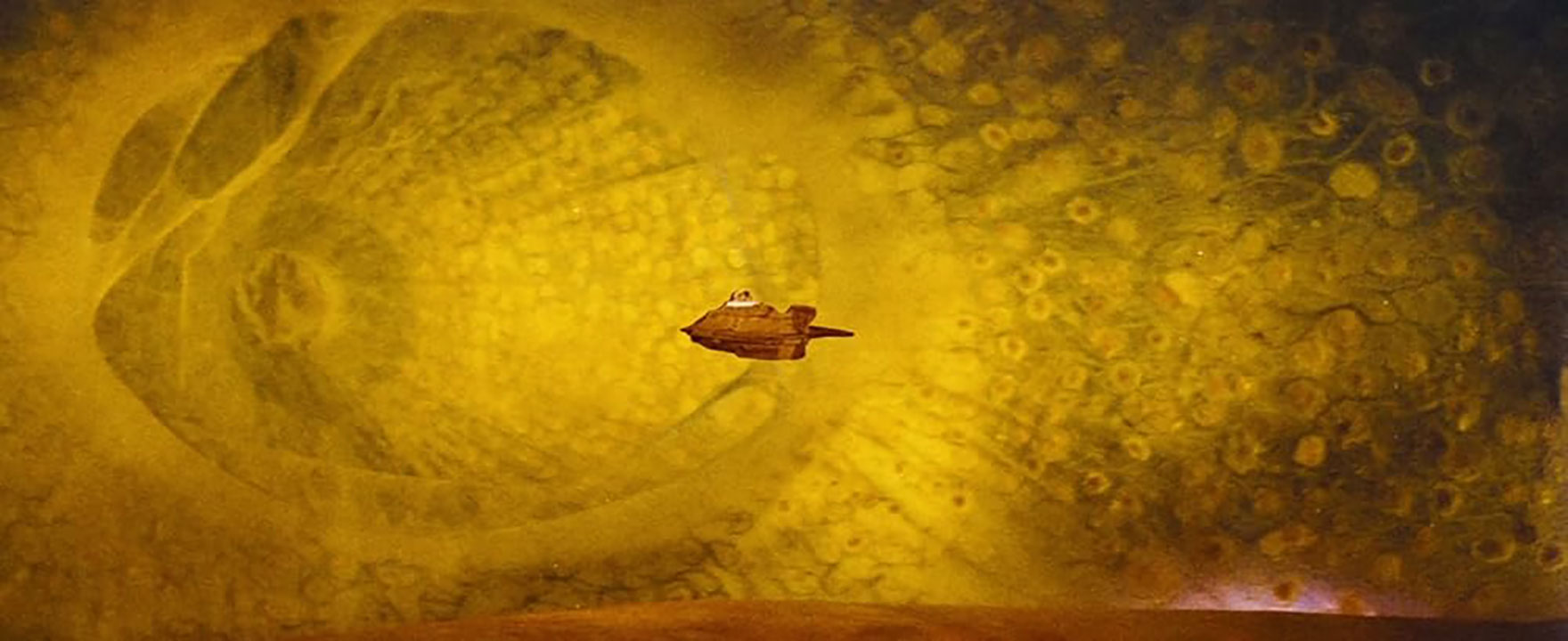 Internet of Beings: Giấc mơ số hóa cơ thể con người để chăm sóc sức khỏe hay cơn ác mộng mất nhân tính- Ảnh 3.