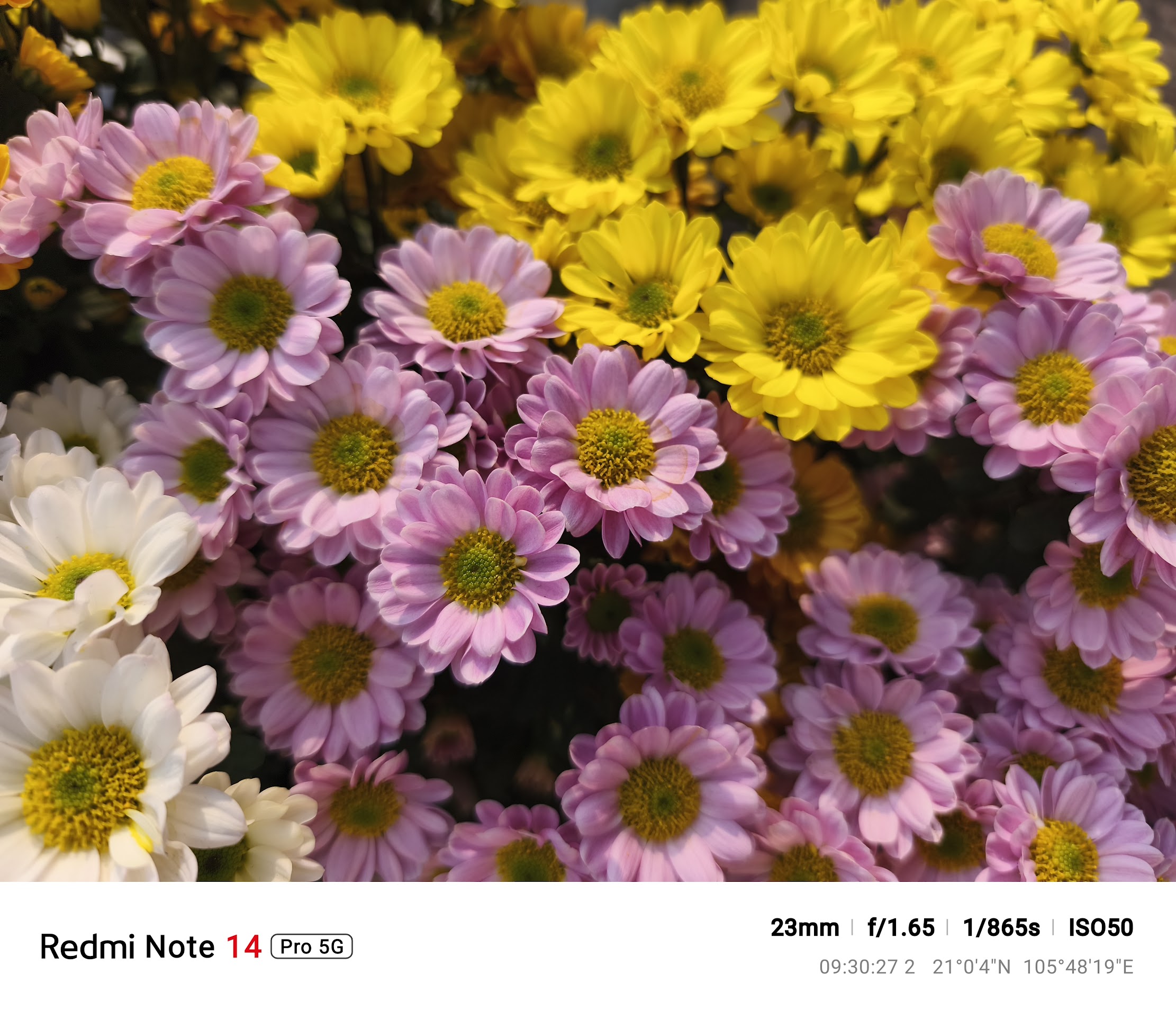 Trải nghiệm camera trên Redmi Note 14 Pro 5G: Smartphone có camera 200MP giá rẻ nhất, đáng mua nhất- Ảnh 32. Trải nghiệm camera trên Redmi Note 14 Pro 5G: Smartphone có camera 200MP giá rẻ nhất, đáng mua nhất- Ảnh 32.