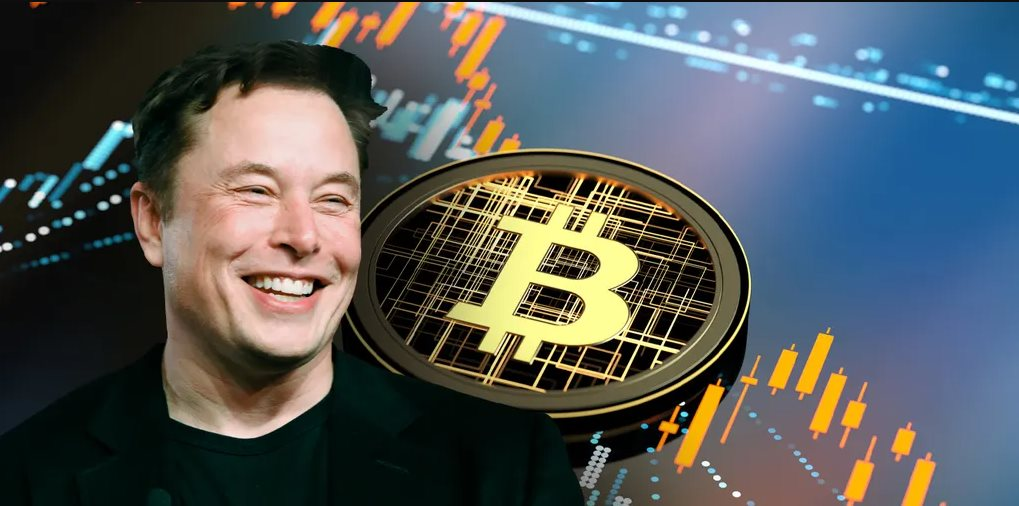 Mặc kệ xe điện, Elon Musk tham vọng xây dựng ‘chính phủ blockchain’, tiếp cận hệ thống 5 nghìn tỷ USD, muốn Bộ tài chính Mỹ dùng công nghệ trong tiền số- Ảnh 4.