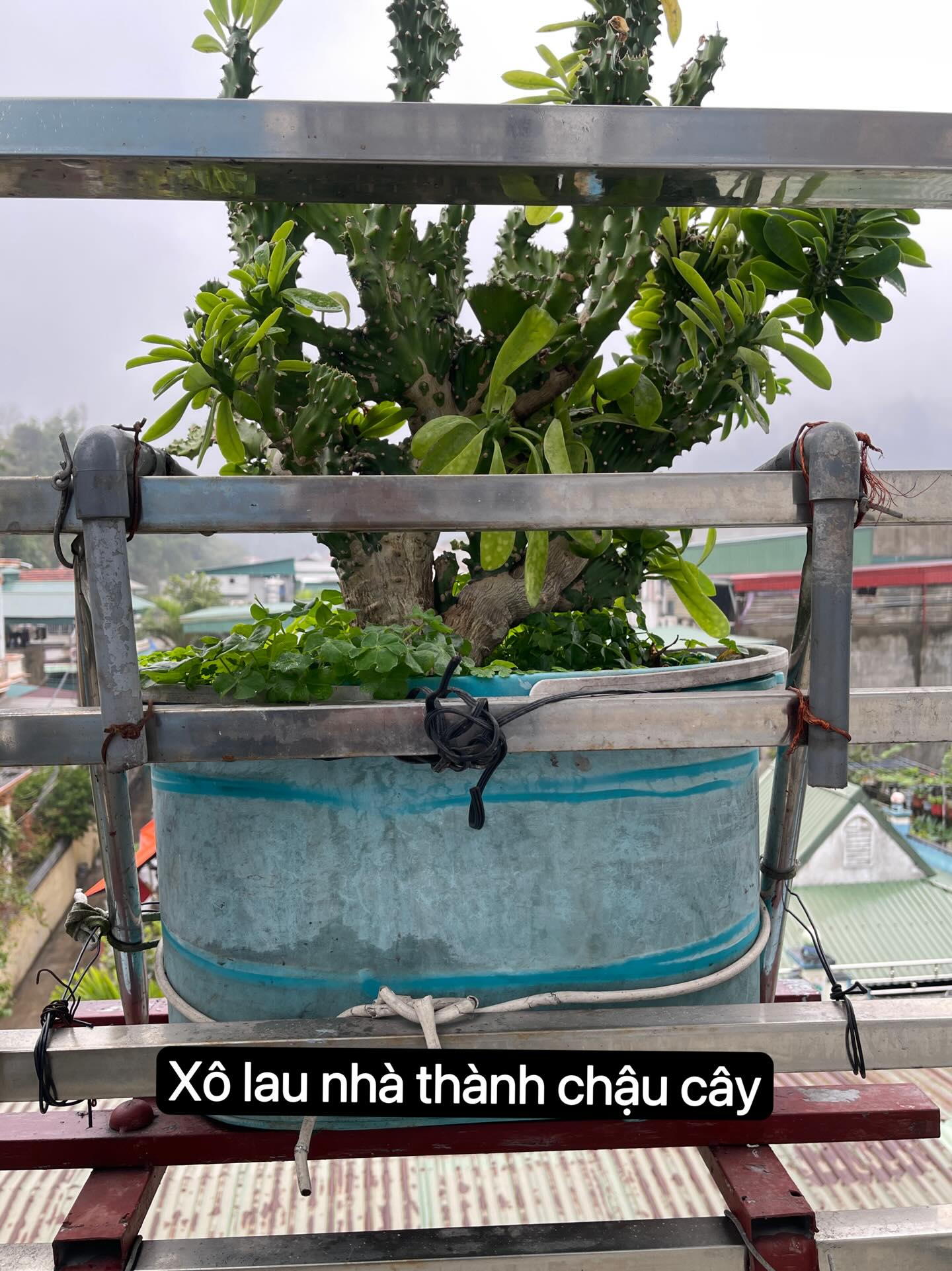 Bạn trẻ chia sẻ dự án tái chế sáng tạo của ông ngoại, nhận về "bão tim" từ "cư dân Threads"- Ảnh 14.