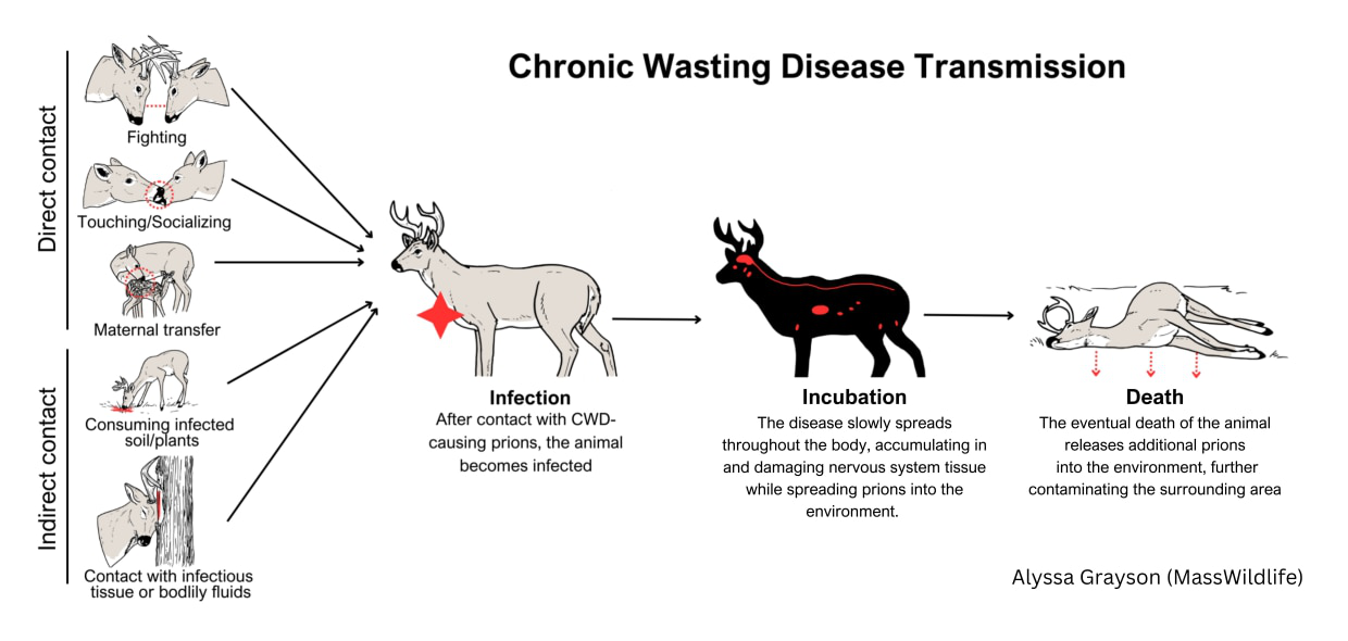 Cảnh giác trước Prion: Một căn bệnh "zombie" có khả năng lây nhiễm loài người- Ảnh 4.