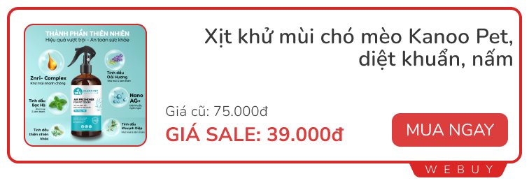 Dọn nhà đều mà vẫn có mùi, check ngay các sai lầm cơ bản mà mọi người hay mắc phải- Ảnh 9.