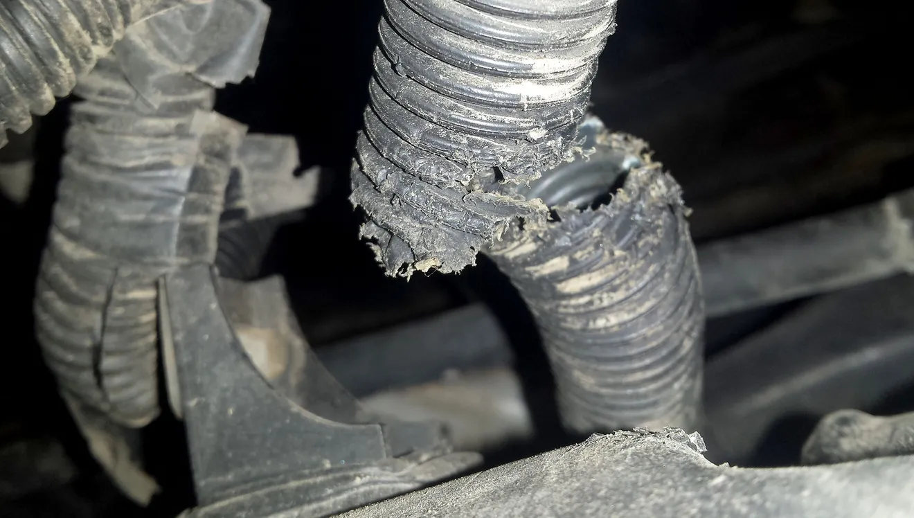 Thắc mắc từ vụ ca sĩ Duy Mạnh kiện Mercedes Việt Nam: 