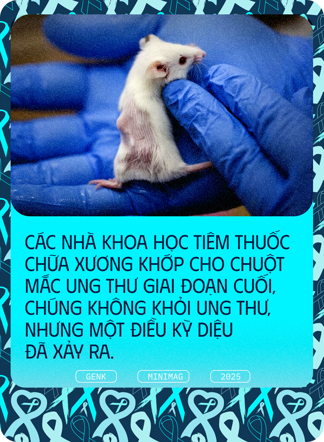 Các nhà khoa học tiêm thuốc chữa xương khớp cho chuột mắc ung thư giai đoạn cuối, chúng không khỏi ung thư, nhưng một điều kỳ diệu đã xảy ra- Ảnh 1. Các nhà khoa học tiêm thuốc chữa xương khớp cho chuột mắc ung thư giai đoạn cuối, chúng không khỏi ung thư, nhưng một điều kỳ diệu đã xảy ra- Ảnh 1.