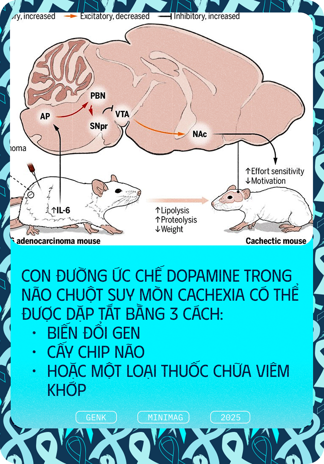 Các nhà khoa học tiêm thuốc chữa xương khớp cho chuột mắc ung thư giai đoạn cuối, chúng không khỏi ung thư, nhưng một điều kỳ diệu đã xảy ra- Ảnh 10. Các nhà khoa học tiêm thuốc chữa xương khớp cho chuột mắc ung thư giai đoạn cuối, chúng không khỏi ung thư, nhưng một điều kỳ diệu đã xảy ra- Ảnh 10.
