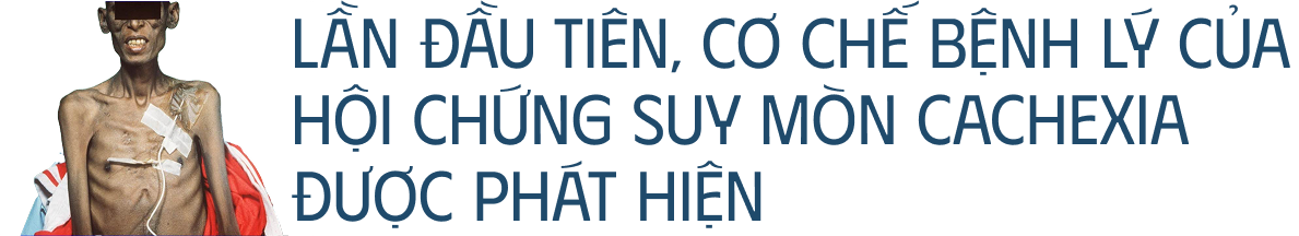 Các nhà khoa học tiêm thuốc chữa xương khớp cho chuột mắc ung thư giai đoạn cuối, chúng không khỏi ung thư, nhưng một điều kỳ diệu đã xảy ra- Ảnh 5. Các nhà khoa học tiêm thuốc chữa xương khớp cho chuột mắc ung thư giai đoạn cuối, chúng không khỏi ung thư, nhưng một điều kỳ diệu đã xảy ra- Ảnh 5.