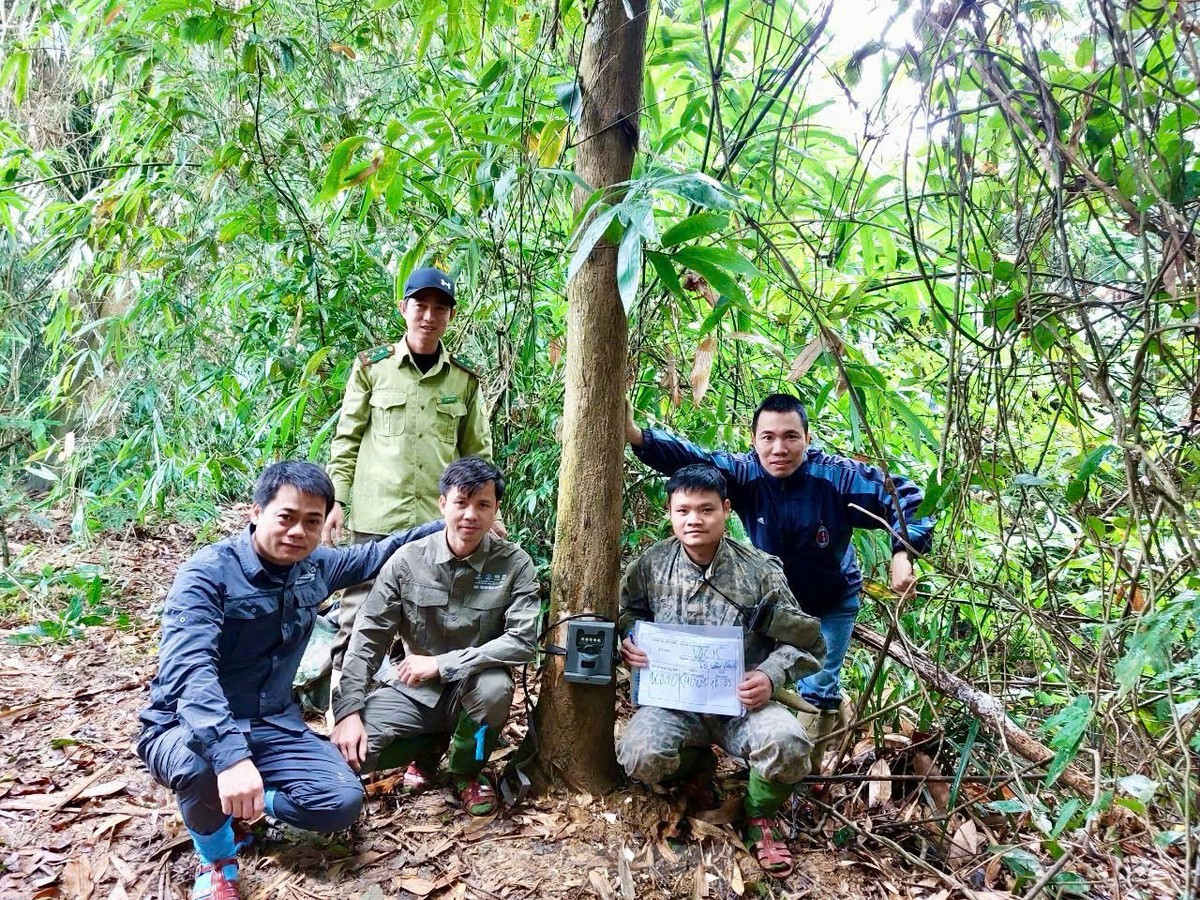 Các nhà khoa học quốc tế phải tìm tới tận nhà thợ săn Việt Nam, để xin hài cốt chứa DNA loài Các nhà khoa học quốc tế phải tìm tới tận nhà thợ săn Việt Nam, để xin hài cốt chứa DNA loài