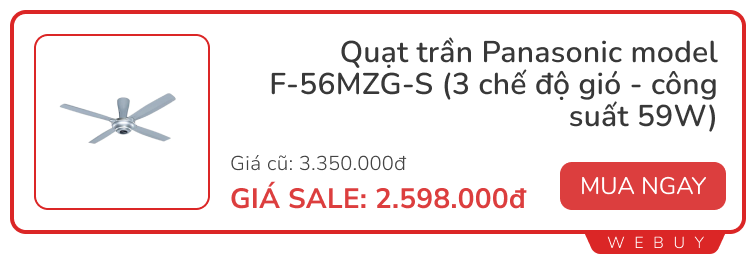 2 món đồ cứ hè đến là cháy hàng, lý do ai nghe xong cũng gật gù- Ảnh 3.