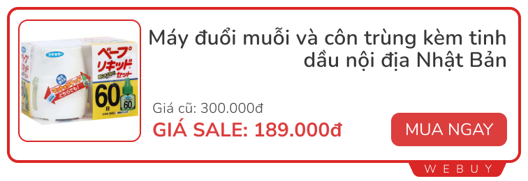 2 món đồ cứ hè đến là cháy hàng, lý do ai nghe xong cũng gật gù- Ảnh 8.