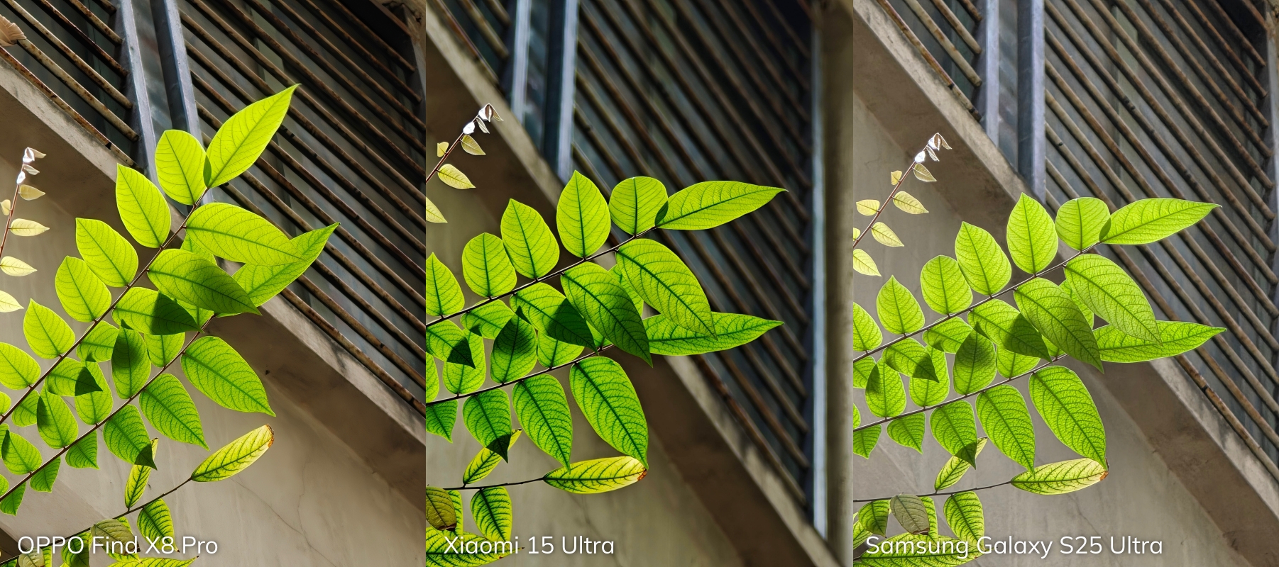 Đọ camera zoom Galaxy S25 Ultra - OPPO Find X8 Pro - Xiaomi 15 Ultra: Zoom quang thật lớn hay tăng độ phân giải mới là Đọ camera zoom Galaxy S25 Ultra - OPPO Find X8 Pro - Xiaomi 15 Ultra: Zoom quang thật lớn hay tăng độ phân giải mới là
