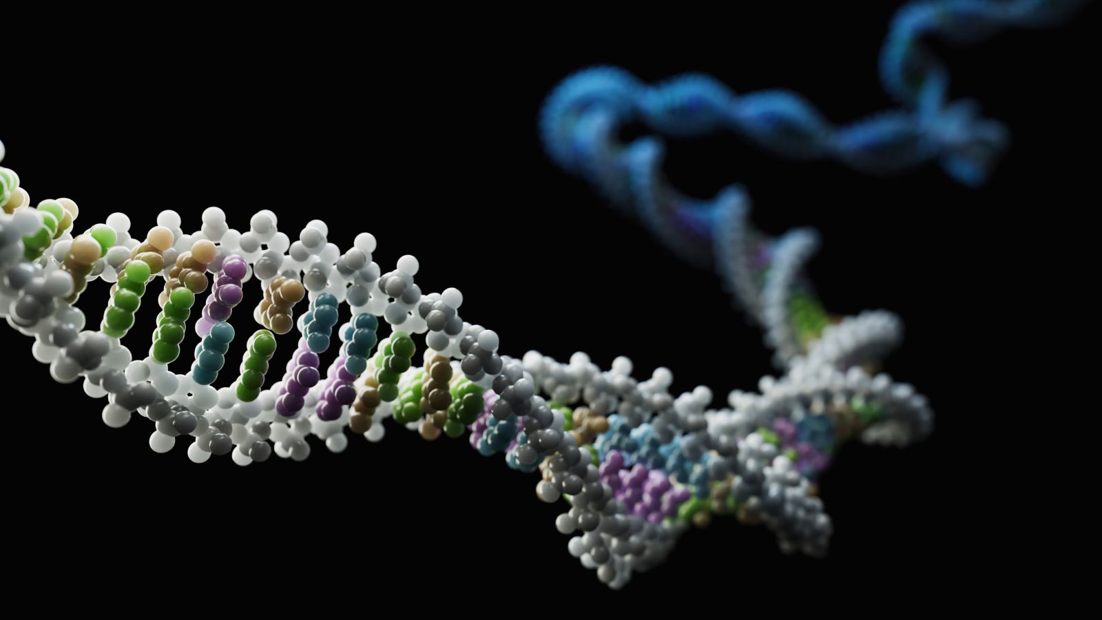 Giải mã gene chống HIV: Biến thể kháng virus có thể bắt nguồn từ người cổ đại sống gần Biển Đen cách đây 9.000 năm- Ảnh 2. Giải mã gene chống HIV: Biến thể kháng virus có thể bắt nguồn từ người cổ đại sống gần Biển Đen cách đây 9.000 năm- Ảnh 2.