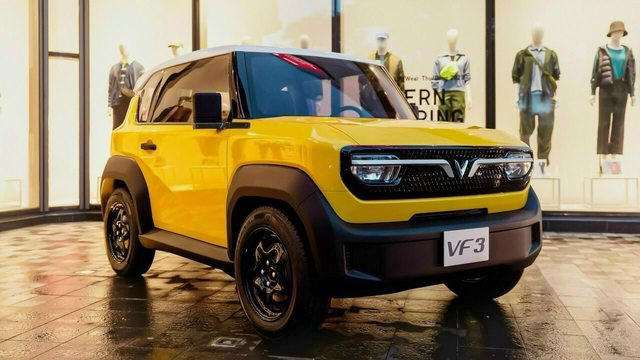 Xôn xao chiếc VinFast VF 3 mỗi ngày sạc 4 lần và đi đều 1.000km suốt 9 tháng, dân mạng: Không tin nổi- Ảnh 3.