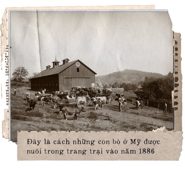 Chúng ta đang sống trong thời đại có nhiều thực phẩm gây hại hơn là có lợi: Đến nỗi, 