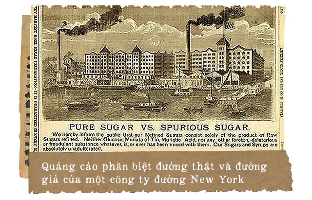 Chúng ta đang sống trong thời đại có nhiều thực phẩm gây hại hơn là có lợi: Đến nỗi, 