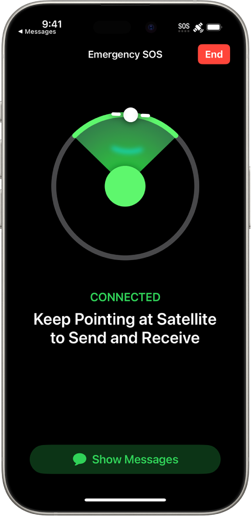 Apple từng tham vọng cung cấp dịch vụ Internet vệ tinh tới tận gia đình- Ảnh 1.