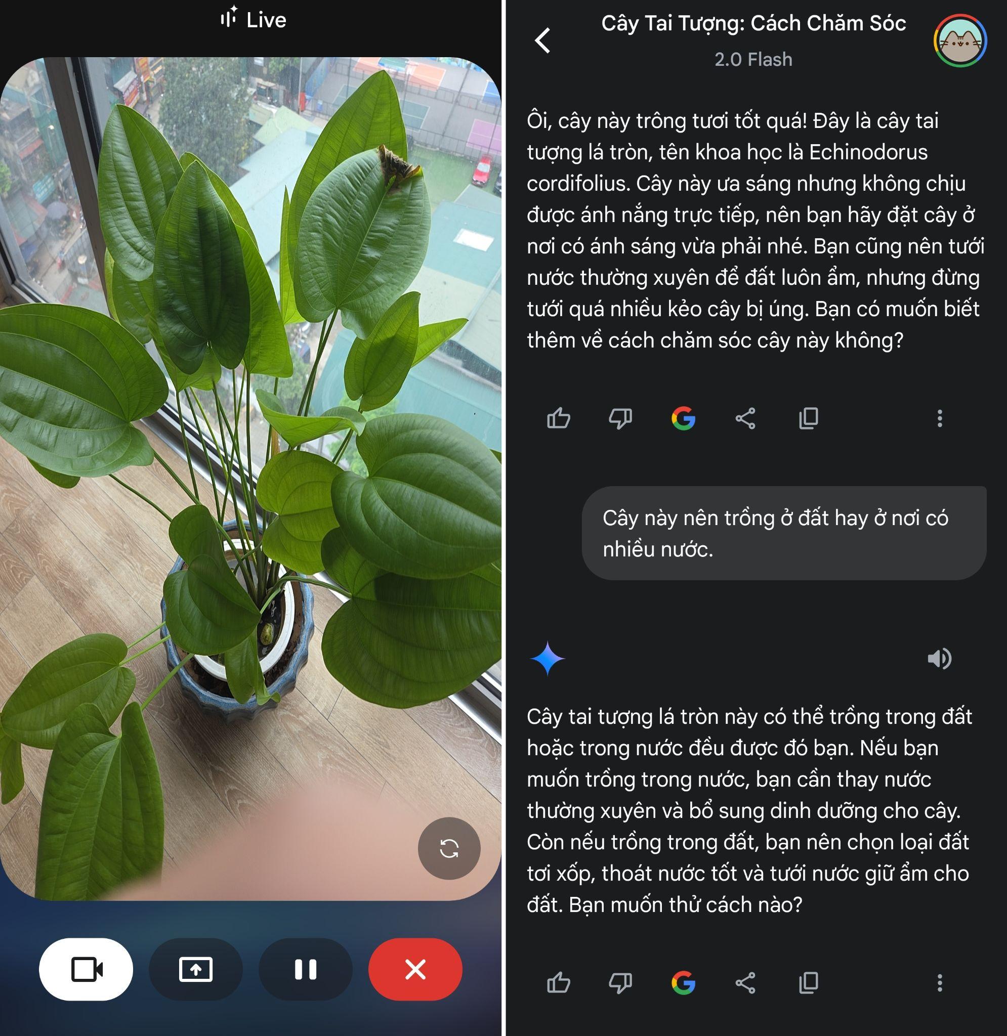 Thì ra Galaxy AI cũng có thể “nhìn” được thế giới để nói chuyện như một người bạn- Ảnh 6. Thì ra Galaxy AI cũng có thể “nhìn” được thế giới để nói chuyện như một người bạn- Ảnh 6.