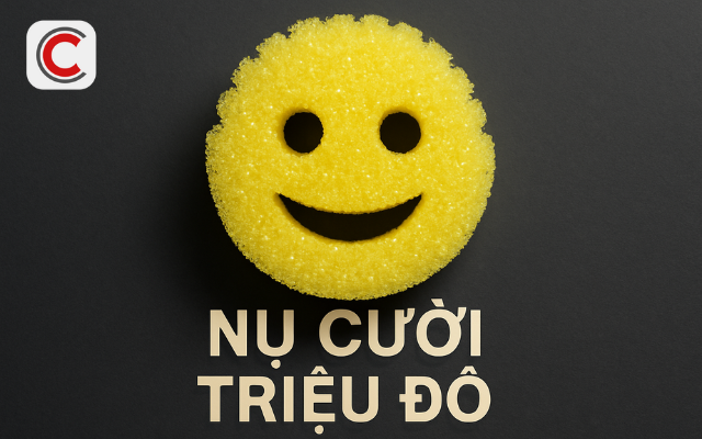 [Case Study] Từ miếng mút bỏ xó đến “nụ cười triệu đô”: Hành trình của Scrub Daddy - startup thành công nhất lịch sử Shark Tank- Ảnh 1.