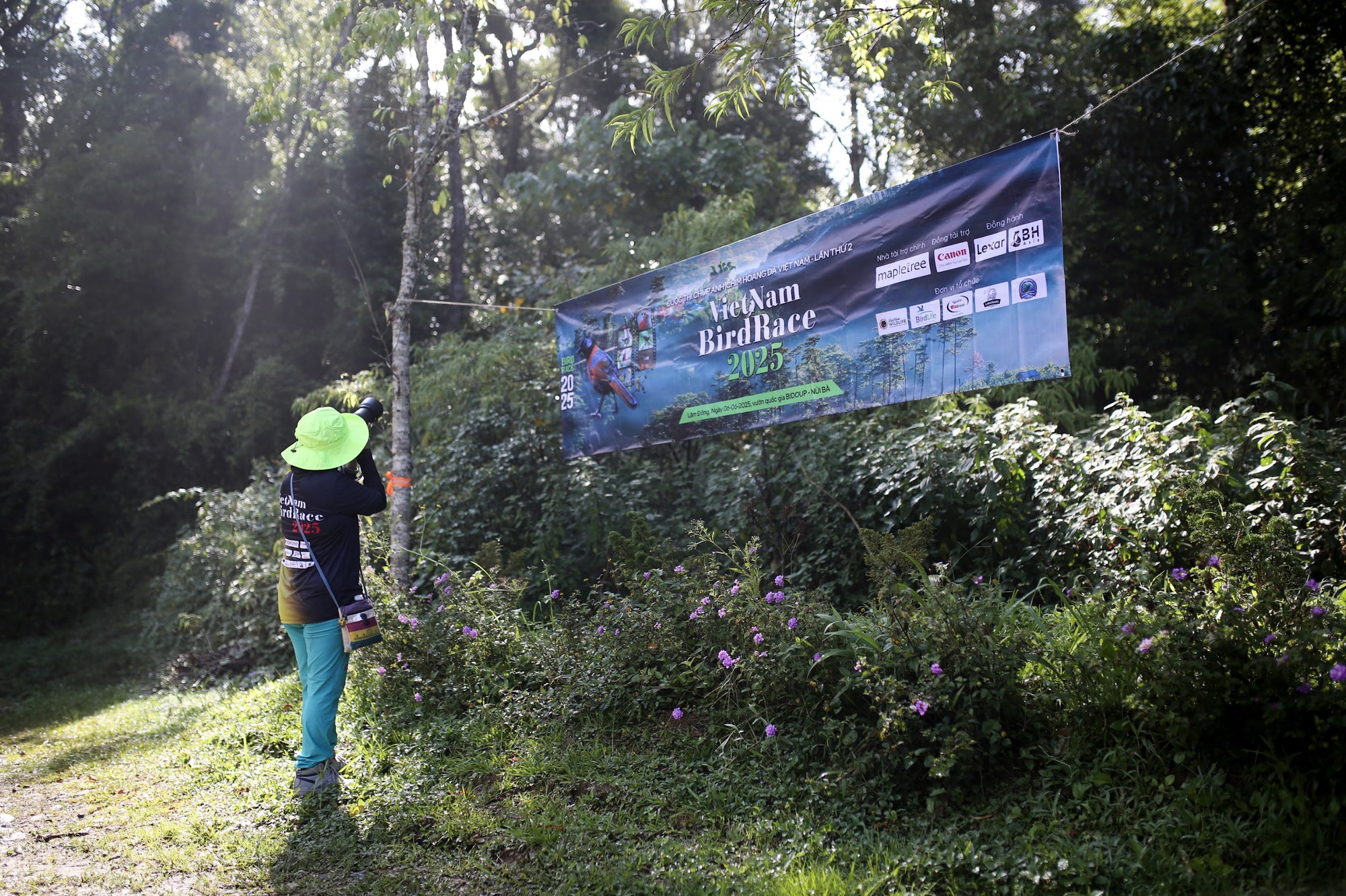 Vietnam BirdRace 2025: Những cánh chim kết nối thế giới từ Bidoup – Núi Bà- Ảnh 1. Vietnam BirdRace 2025: Những cánh chim kết nối thế giới từ Bidoup – Núi Bà- Ảnh 1.