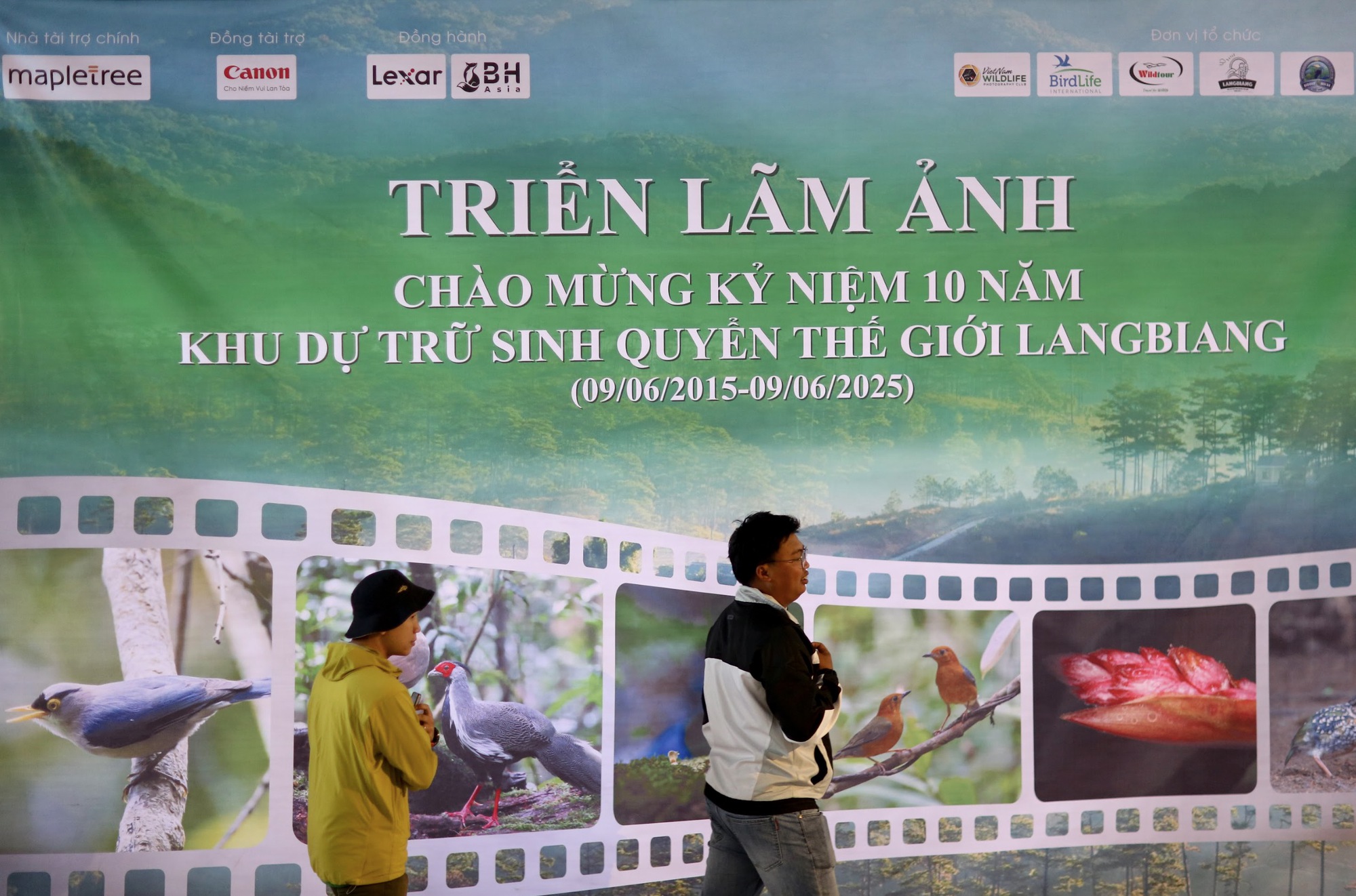 Vietnam BirdRace 2025: Những cánh chim kết nối thế giới từ Bidoup – Núi Bà- Ảnh 18. Vietnam BirdRace 2025: Những cánh chim kết nối thế giới từ Bidoup – Núi Bà- Ảnh 18.