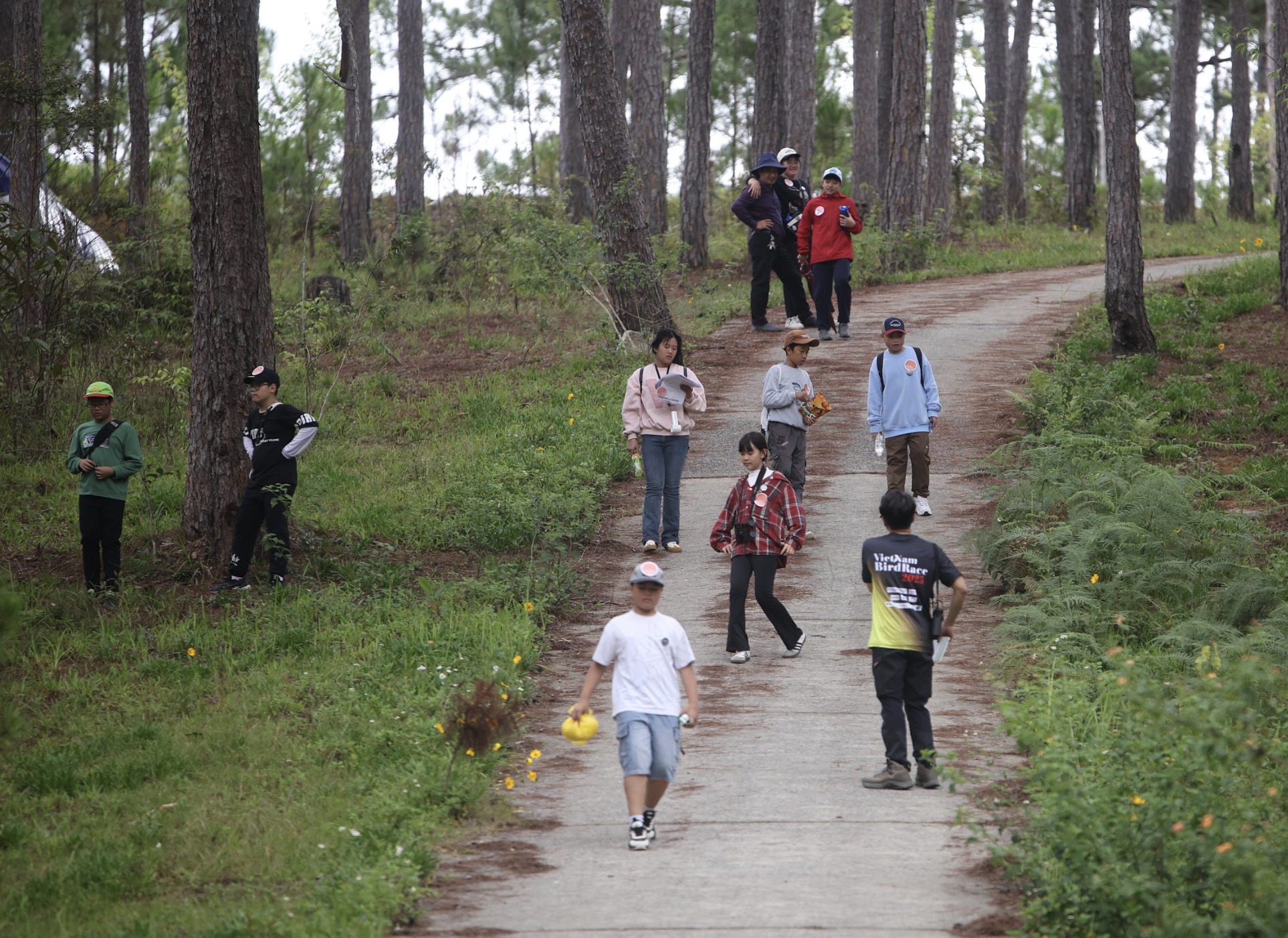Vietnam BirdRace 2025: Những cánh chim kết nối thế giới từ Bidoup – Núi Bà- Ảnh 15. Vietnam BirdRace 2025: Những cánh chim kết nối thế giới từ Bidoup – Núi Bà- Ảnh 15.
