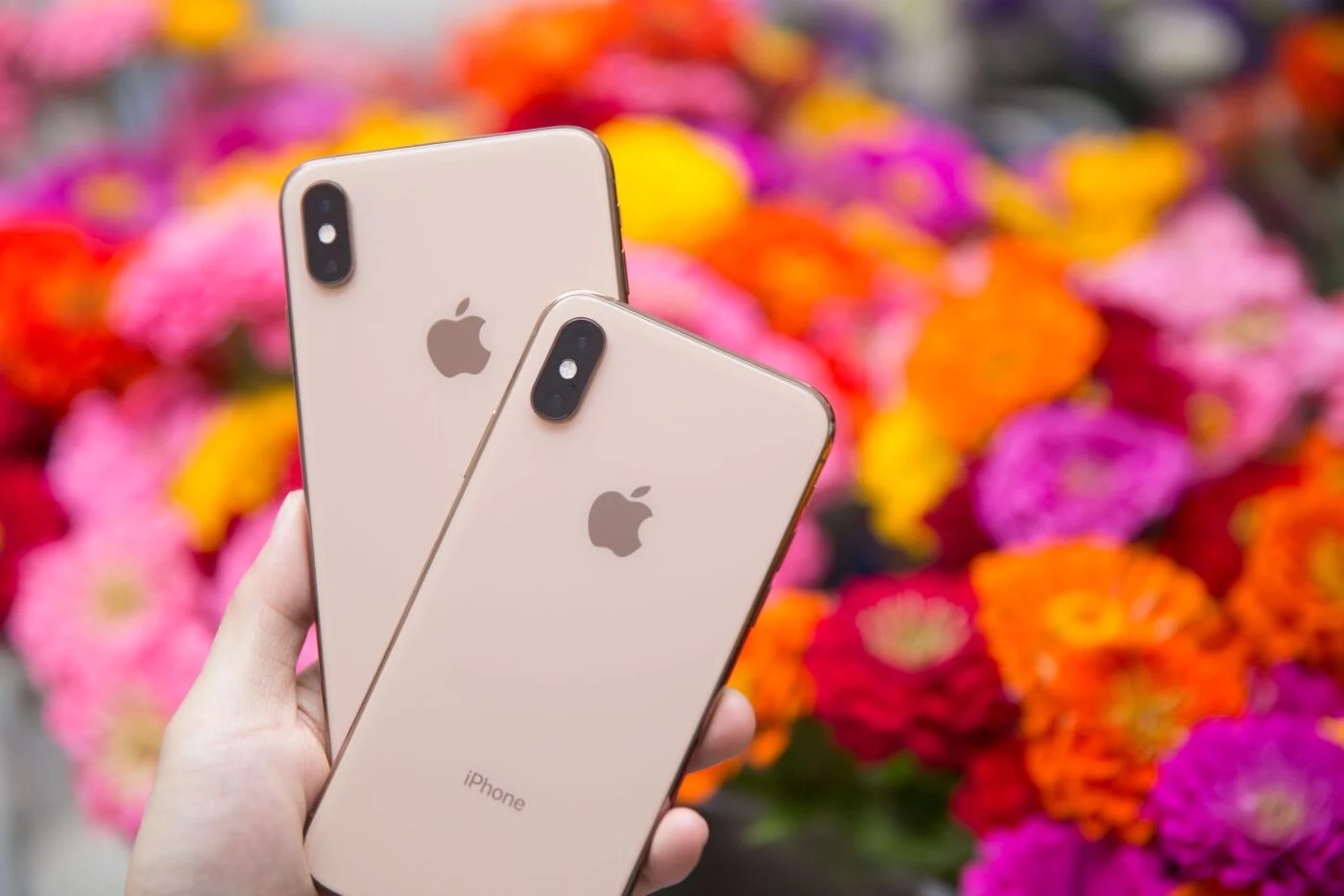 iPhone XS chính thức lọt vào danh sách 'đồ cổ': Siêu phẩm một thời đình đám giờ chỉ còn là dĩ vãng- Ảnh 1. iPhone XS chính thức lọt vào danh sách 'đồ cổ': Siêu phẩm một thời đình đám giờ chỉ còn là dĩ vãng- Ảnh 1.