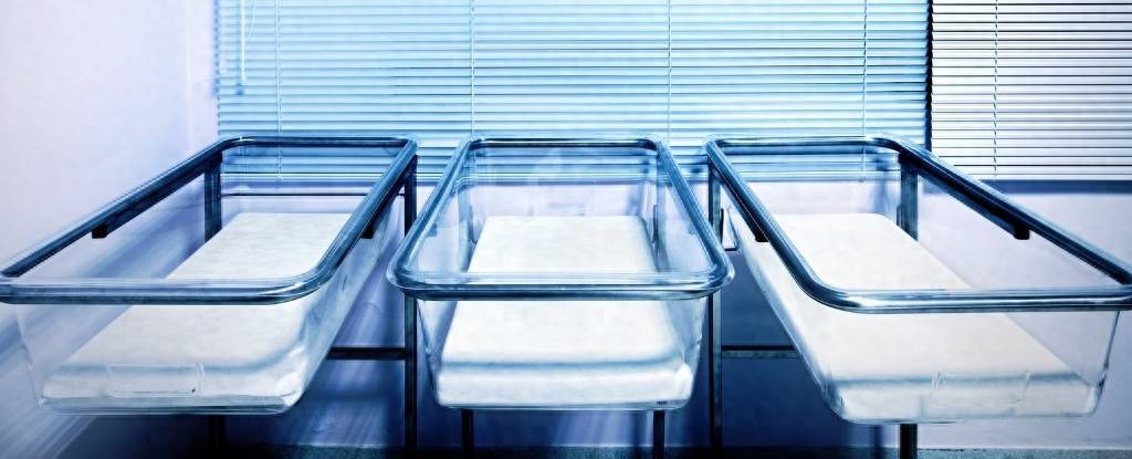 Chuyện gì sẽ xảy ra nếu loài người ngừng sinh con: Nhân loại có thể sống sót được bao lâu sau khi đứa trẻ cuối cùng chào đời?- Ảnh 5. Chuyện gì sẽ xảy ra nếu loài người ngừng sinh con: Nhân loại có thể sống sót được bao lâu sau khi đứa trẻ cuối cùng chào đời?- Ảnh 5.