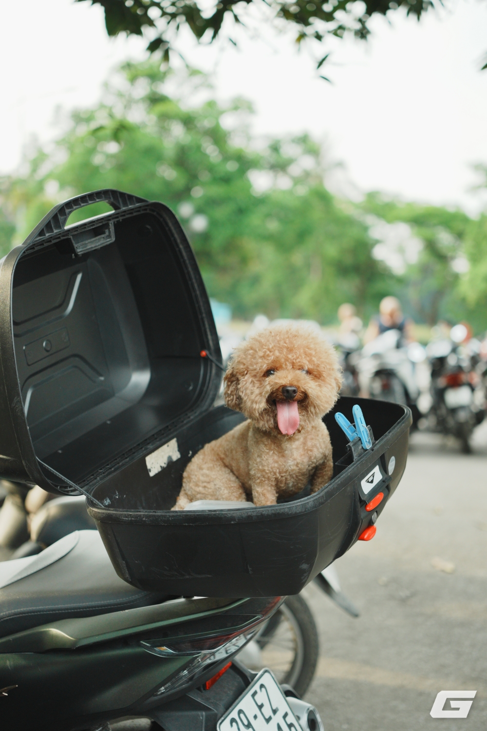 Siêu phẩm zoom mới từ Sigma: 17 - 40mm, khẩu f/1.8, rất ít cái để chê, giá 22.99 triệu- Ảnh 38. Siêu phẩm zoom mới từ Sigma: 17 - 40mm, khẩu f/1.8, rất ít cái để chê, giá 22.99 triệu- Ảnh 38.