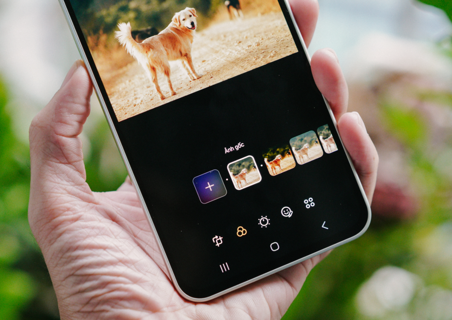 Galaxy A series mới và AI đã giúp tôi thành chuyên gia chụp ảnh chó cưng như thế nào- Ảnh 3. Galaxy A series mới và AI đã giúp tôi thành chuyên gia chụp ảnh chó cưng như thế nào- Ảnh 3.