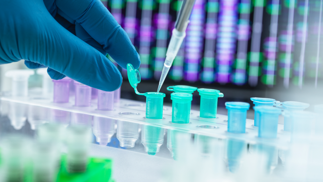 DNA được sử dụng như thế nào để xác định nạn nhân trong các thảm họa hàng loạt?- Ảnh 1. DNA được sử dụng như thế nào để xác định nạn nhân trong các thảm họa hàng loạt?- Ảnh 1.