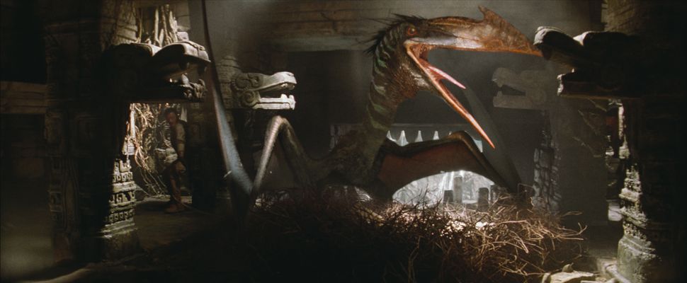 Nhà cổ sinh vật học cố vấn Jurassic World Rebirth hé lộ sự thật chấn động về khủng long!- Ảnh 5.