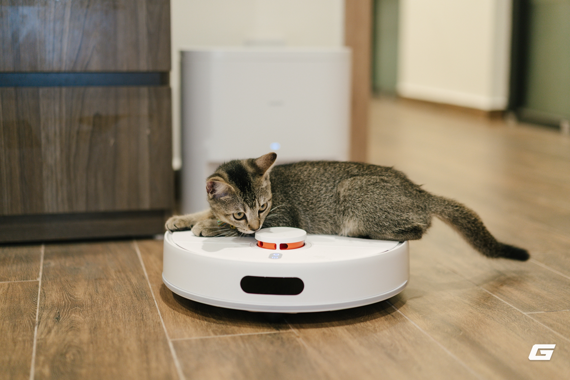 Nghe giới trẻ chia sẻ bí kíp chọn robot hút bụi mà ngã ngửa: Hóa ra đây là món đồ "must-have" của mọi gia đình nếu muốn sống gọn gàng ngăn nắp- Ảnh 2.