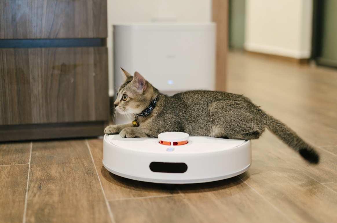 Robot hút bụi giờ như điện thoại: cũng có phân khúc để bạn chọn đúng nhu cầu- Ảnh 4. Robot hút bụi giờ như điện thoại: cũng có phân khúc để bạn chọn đúng nhu cầu- Ảnh 4.
